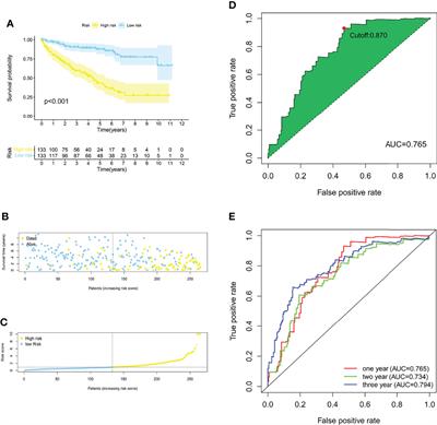 Pyroptosis-Related lncRNA Prognostic Model for Renal Cancer Contributes to Immunodiagnosis and Immunotherapy